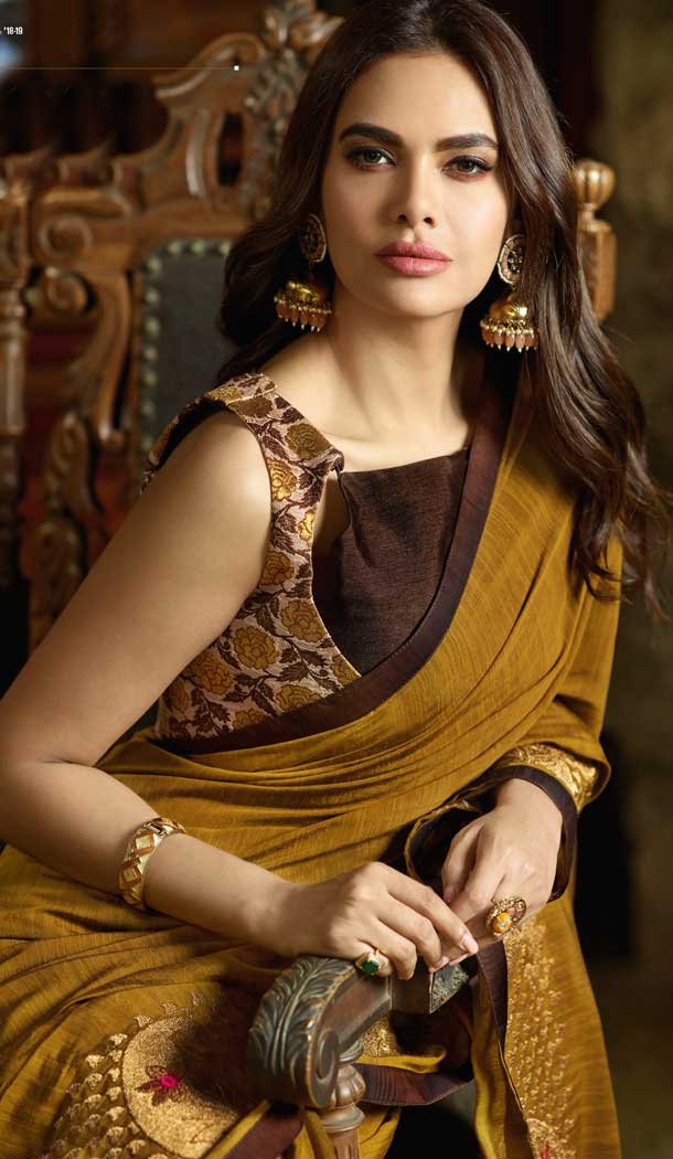 Nargis Fakhri Saree