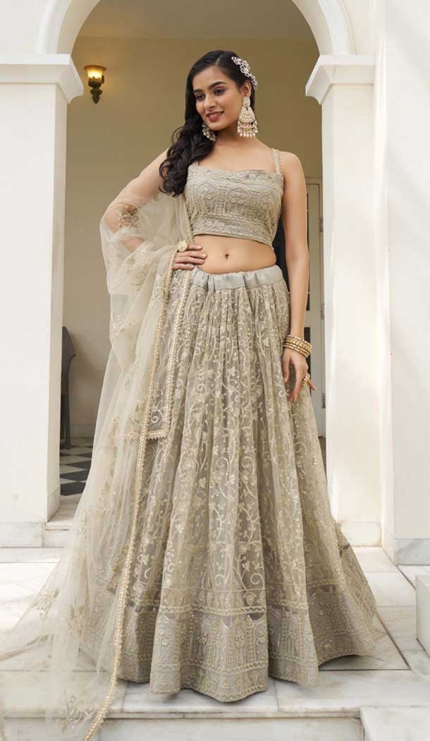 Ivory Butterfly Net Embroidery Work Lehenga Choli – 9536187908