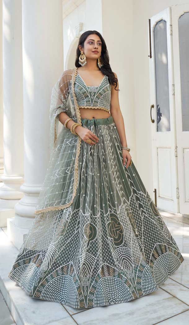 Dusty Green Butterfly Net Embroidery Work Lehenga Choli – 9536187911