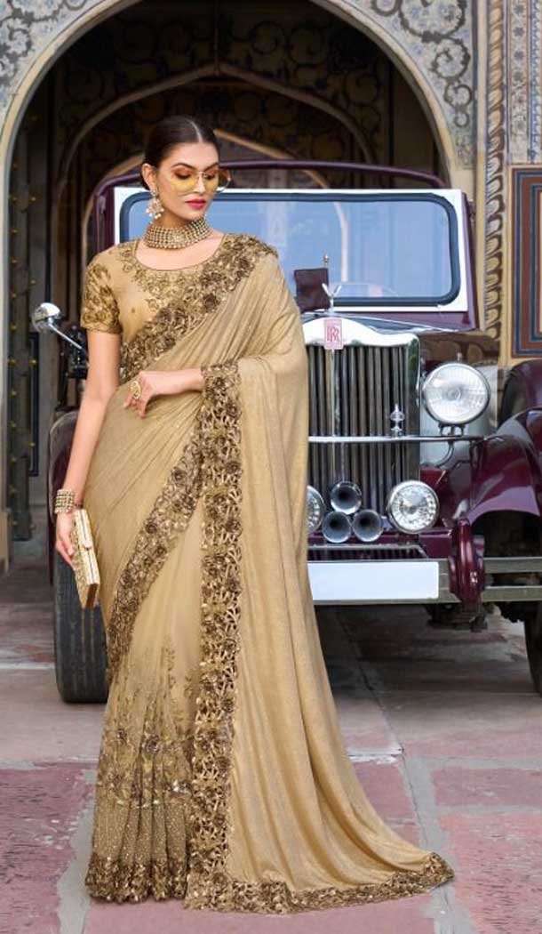 Chiku Color Net Embroidery And Sequence Work Party Wear Designer Saree -5033159371